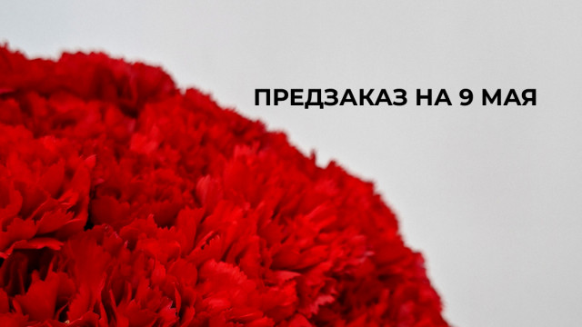 Предзаказ гвоздик ко Дню Победы!